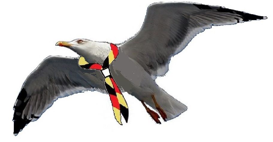 Albatros Halstuch.jpg
