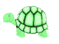 Turtle.gif